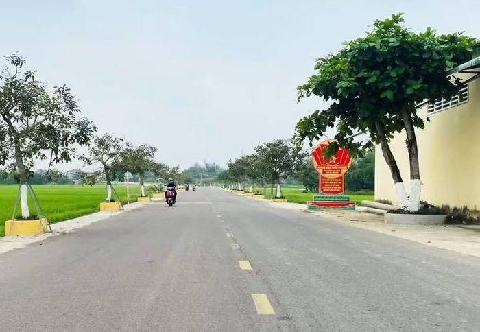 Diện mạo nông thôn mới của xã Tuy Phước Bắc, tỉnh Gia Lai. Ảnh: N.T