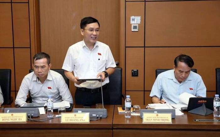  ĐB Lê Hoàng Anh cho rằng dự thảo cần tiếp tục hoàn thiện để khắc phục những “lỗ hổng” trong quản lý, ngăn chặn tình trạng xuất bản các ấn phẩm xuyên tạc lịch sử, bôi nhọ lãnh tụ... Ảnh: Đoàn ĐBQH tỉnh Gia Lai 