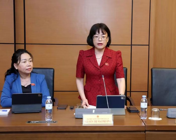  ĐB Nguyễn Thị Mai Phương là đề nghị Ban soạn thảo tiếp tục rà soát để bảo đảm tính thống nhất giữa các quy định của Luật Xuất bản với Luật Sở hữu trí tuệ và các cam kết quốc tế... Ảnh: Đoàn ĐBQH tỉnh Gia Lai 