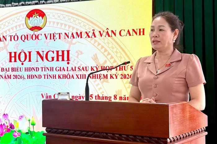 Phó Chủ tịch HĐND tỉnh Huỳnh Thúy Vân phát biểu tại buổi tiếp xúc cử tri. Ảnh: Hoàng Vũ