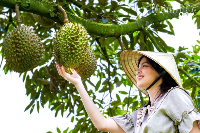 Du khách luôn thích thú khi khám phá các nhà vườn tại xã Khánh Sơn. (Ảnh do địa phương cung cấp)