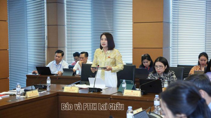 Đại biểu Cà Thị Thắm phát biểu tại buổi thảo luận.