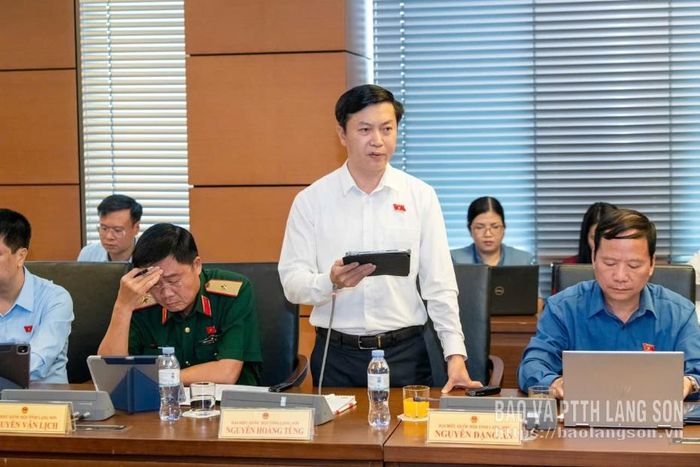 Đại biểu Nguyễn Hoàng Tùng, Đoàn ĐBQH tỉnh phát biểu thảo luận ở tổ