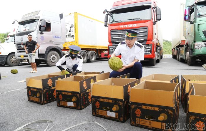 Hàng hóa được kiểm tra, giám sát chặt chẽ trước khi thông quan theo đúng quy định.