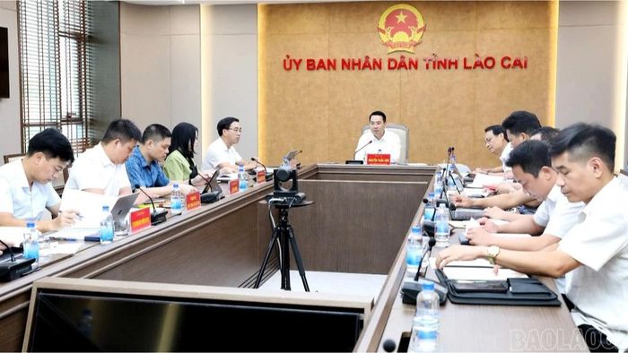 Đồng chí Nguyễn Tuấn Anh - Chủ tịch UBND tỉnh phát biểu kết luận cuộc họp.