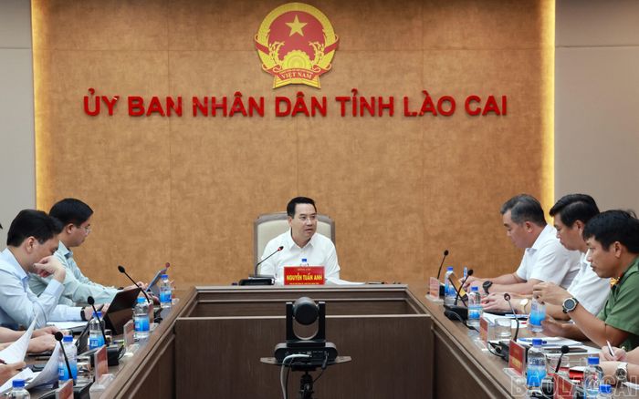 Chủ tịch UBND tỉnh Nguyễn Tuấn Anh phát biểu kết luận hội nghị.