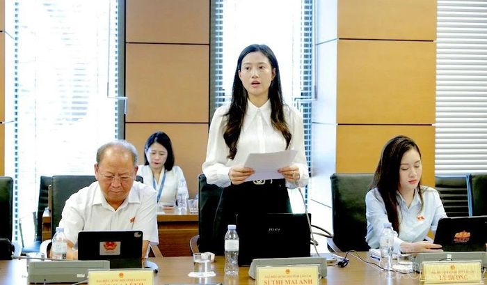 Đại biểu Sí Thị Mai Anh tham gia thảo luận tại tổ.