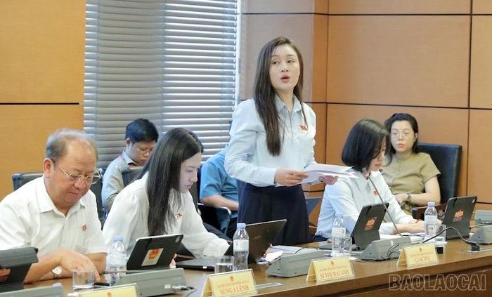 Đại biểu Lý Hương tham gia góp ý vào dự thảo Luật sửa đổi, bổ sung một số điều của Luật Người lao động Việt Nam đi làm việc ở nước ngoài theo hợp đồng.