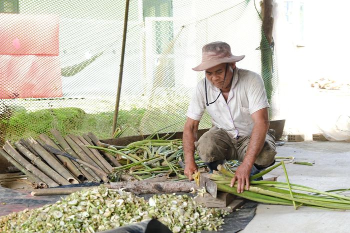 Người dân tại thôn 3, xã Cát Tiên 2 tận dụng nguồn phụ phẩm nông nghiệp sẵn có tại địa phương để phát triển mô hình chăn nuôi heo