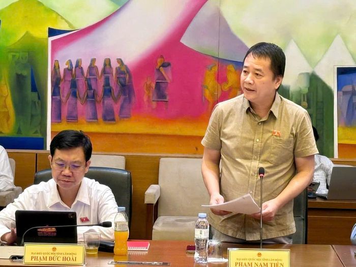 Đại biểu Phạm Nam Tiến, Đoàn ĐBQH tỉnh Lâm Đồng phát biểu