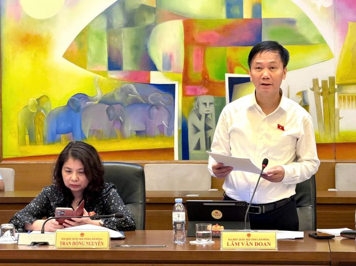 Đại biểu Lâm Văn Đoan, ĐBQH tỉnh Lâm Đồng cho ý kiến