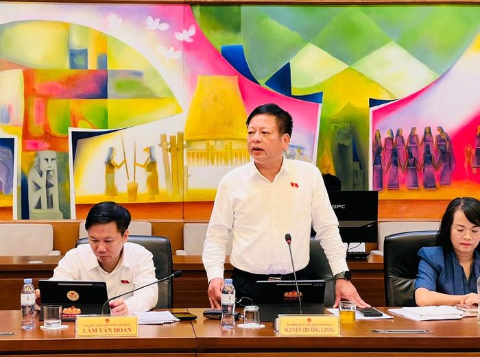Đại biểu Nguyễn Trường Giang, Đoàn ĐBQH tỉnh Lâm Đồng phát biểu