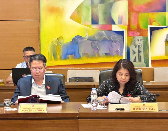 Các đại biểu tham gia dự phiên thảo luận