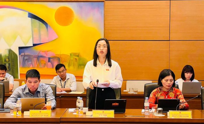 Đại biểu Cil B’Ri, Đoàn ĐBQH tỉnh Lâm Đồng phát biểu