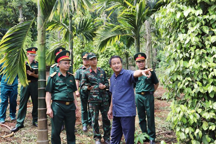 Bộ Chỉ huy Quân sự tỉnh Lâm Đồng cùng nhân chứng khảo sát một số vị trí nghi có hài cốt liệt sĩ tại xã Đắk Sắk
