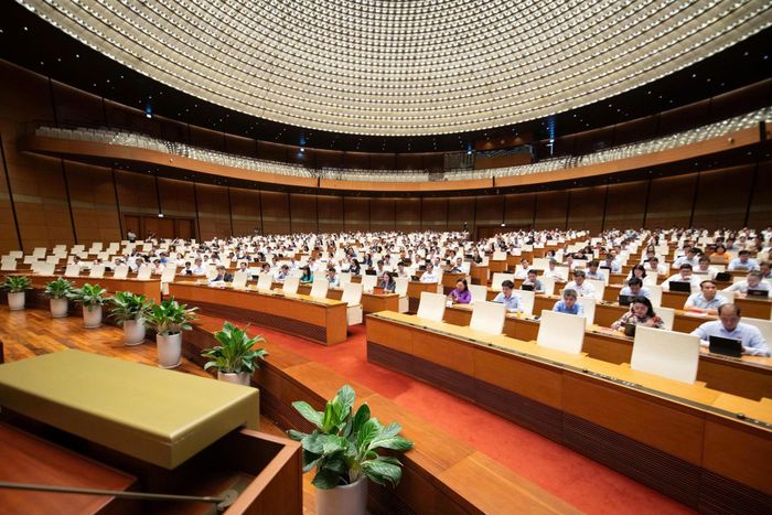 Đại biểu tham dự thảo luận