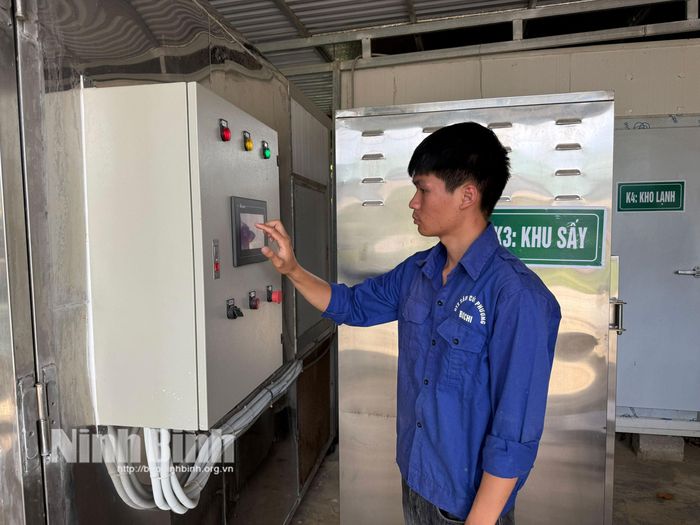 Thành viên HTX sâm Cúc Phương kiểm tra hệ thống sấy lạnh nguyên liệu sâm Cúc Phương.