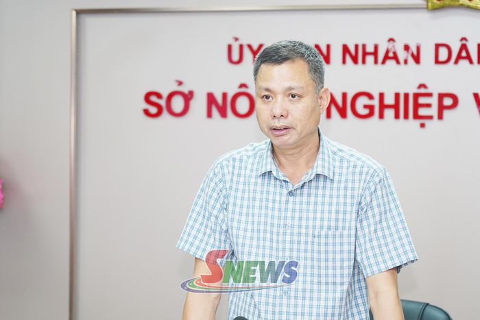 Đồng chí Phó Chủ tịch UBND tỉnh phát biểu tại cuộc họp.