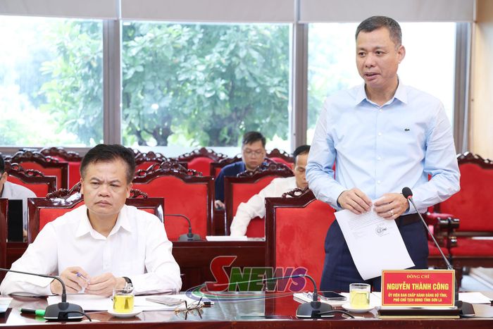 Đồng chí Phó Chủ tịch UBND tỉnh phát biểu tại cuộc làm việc.
