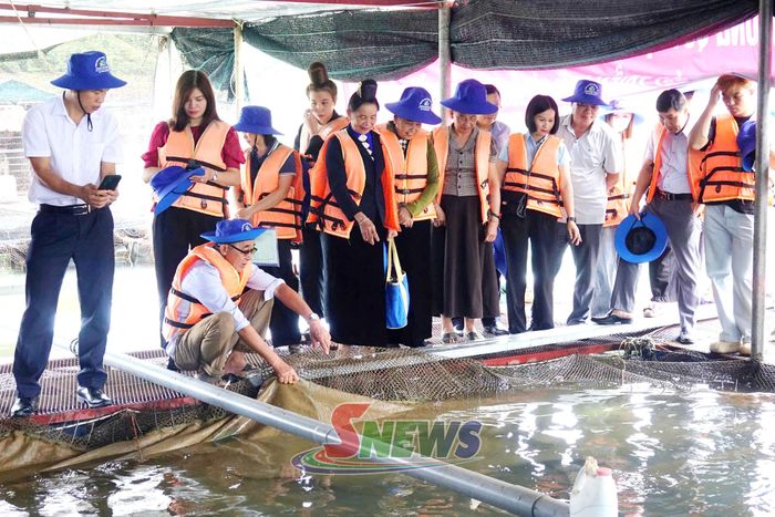 Các đại biểu khảo sát thực tế mô hình nuôi cá tầm trên lòng hồ thủy điện tại xã Quỳnh Nhai.