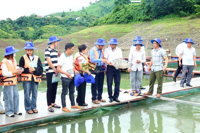 Các đại biểu tham quan mô hình nuôi cá lồng trên lòng hồ thủy điện tại xã Quỳnh Nhai.