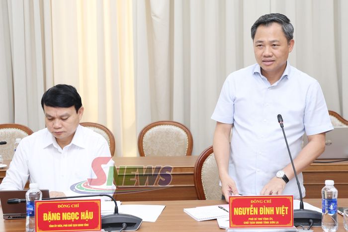 Đồng chí Phó Bí thư Tỉnh ủy, Chủ tịch UBND tỉnh phát biểu tại cuộc họp.