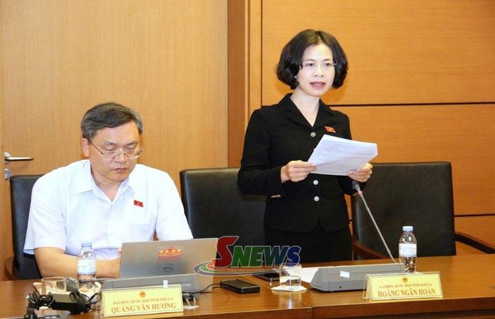 Đại biểu Hoàng Ngân Hoàn phát biểu.