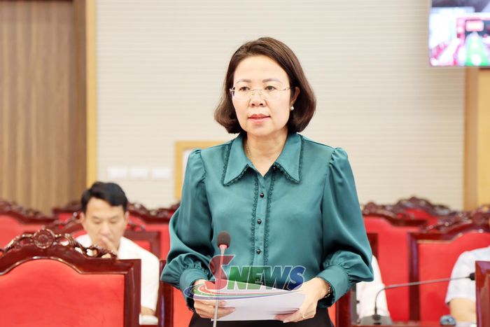 Lãnh đạo Sở Văn hóa, Thể thao và Du lịch phát biểu ý kiến tại chương trình làm việc.