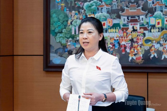 Đồng chí Lê Thị Kim Dung, Phó Bí thư Thường trực Tỉnh ủy, Trưởng đoàn ĐBQH tỉnh Tuyên Quang khóa XVI phát biểu kết luận thảo luận tại tổ.
