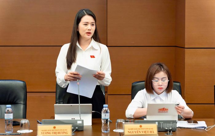 Đại biểu Vương Thị Hương phát biểu ý kiến thảo luận.