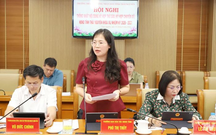 Đại biểu phát biểu tại Hội nghị.