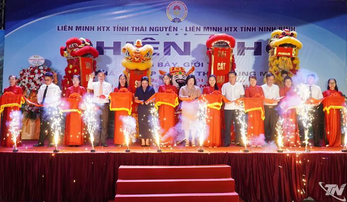 Các đại biểu thực hiện nghi lễ khai mạc.
