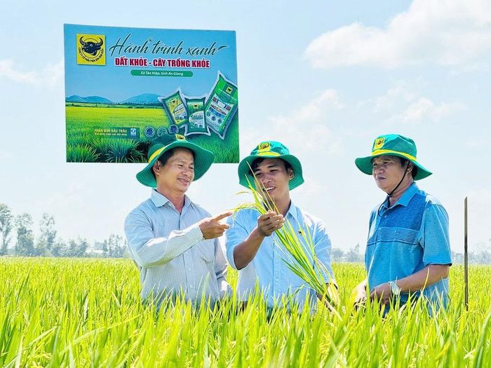  Ông Võ Hoàng Lưỡng (bìa phải) cùng nông dân và cán bộ kỹ thuật Công ty Cổ phần Phân bón Bình Điền trao đổi, đánh giá sự phát triển của ruộng lúa tham gia mô hình "Hành trình Xanh - Đất khỏe, cây trồng khỏe", hướng đến giảm chi phí và nâng cao hiệu quả sản xuất 