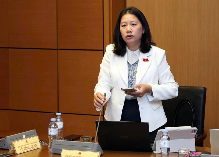Đại biểu Huỳnh Thị Anh Thảo (đoàn Gia Lai). Ảnh: Media Quốc hội.