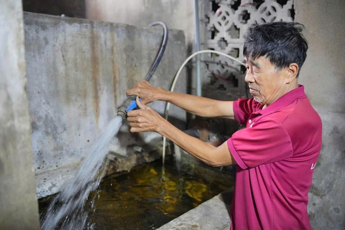 Tỷ lệ dân số sử dụng nước sạch đạt chuẩn tại các vùng dự án đã chạm mốc 85%.
