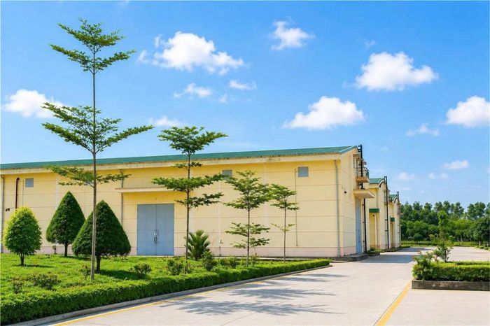 Hệ thống kho tàng của Chi cục DTNN khu vực IX mang một diện mạo mới so với trước. Ảnh: Đức Minh