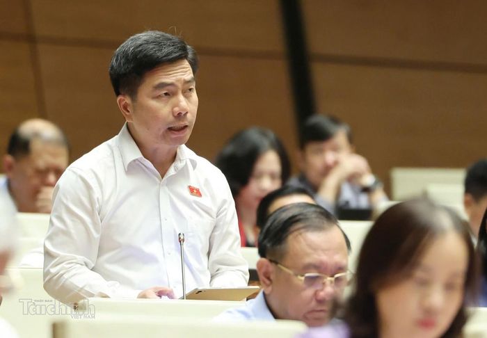 Đại biểu Võ Hoàng Ngân (Đoàn TP. Hồ Chí Minh) phát biểu. Ảnh: Đức Thanh