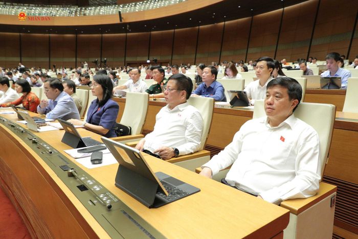Các đại biểu dự phiên họp. Ảnh: Hồ Long