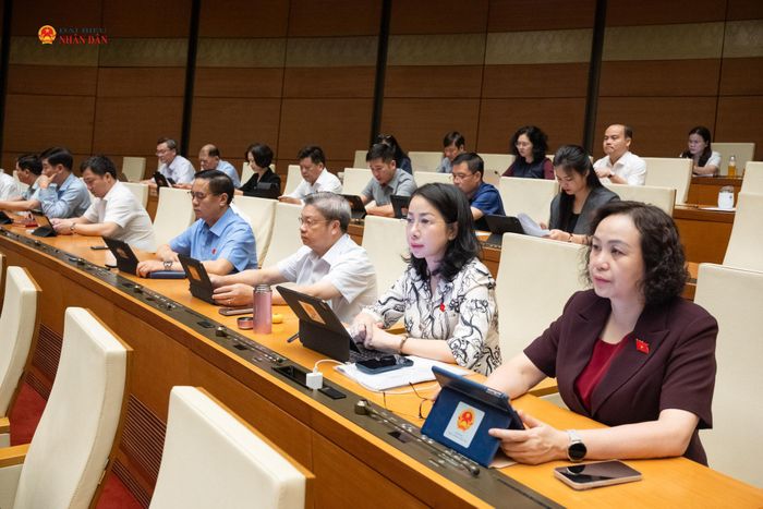 Đại biểu tham dự phiên họp. Ảnh: Phạm Thắng