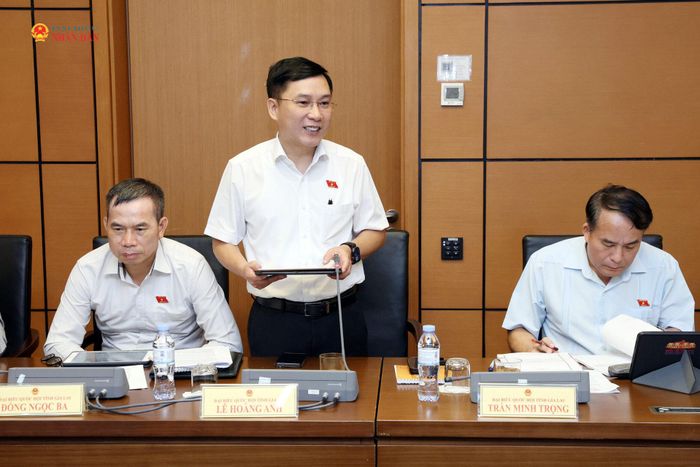 ĐBQH Lê Hoàng Anh (Gia Lai) phát biểu