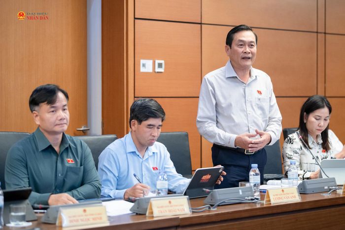 ĐBQH Hồ Việt Triều (Cà Mau) phát biểu