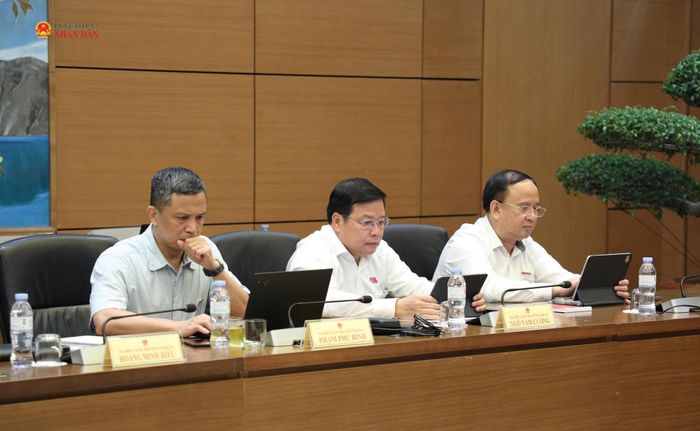ĐBQH tham dự phiên thảo luận tổ