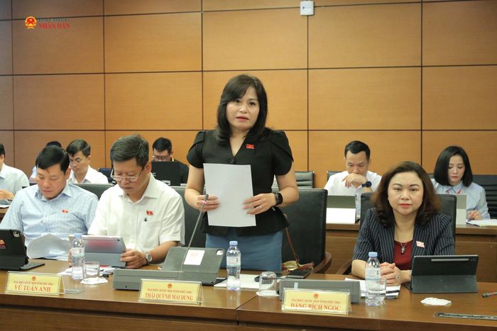 ĐBQH Thái Quỳnh Mai Dung (Phú Thọ) phát biểu. Ảnh: Hồ Long