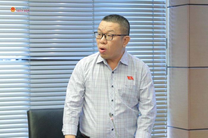 ĐBQH Trần Mạnh Huy (TP. Đà Nẵng) phát biểu. Ảnh: Hồ Long