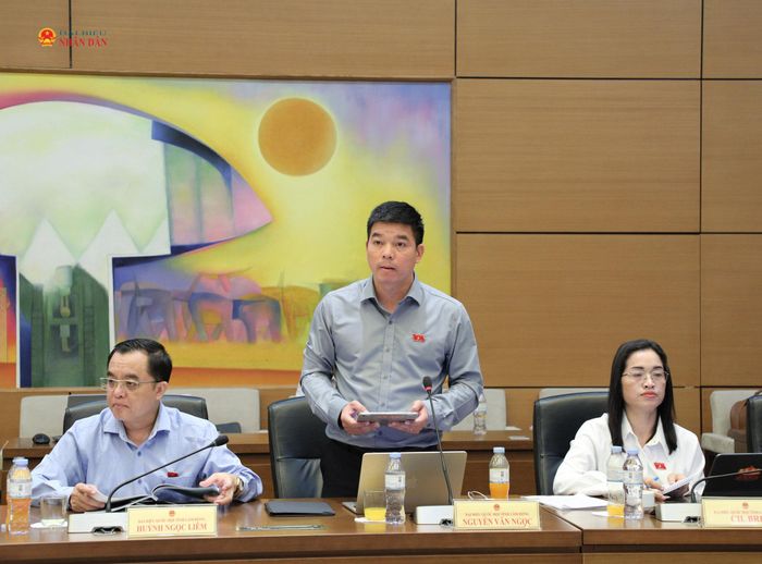 ĐBQH Nguyễn Văn Ngọc (Lâm Đồng) phát biểu.
