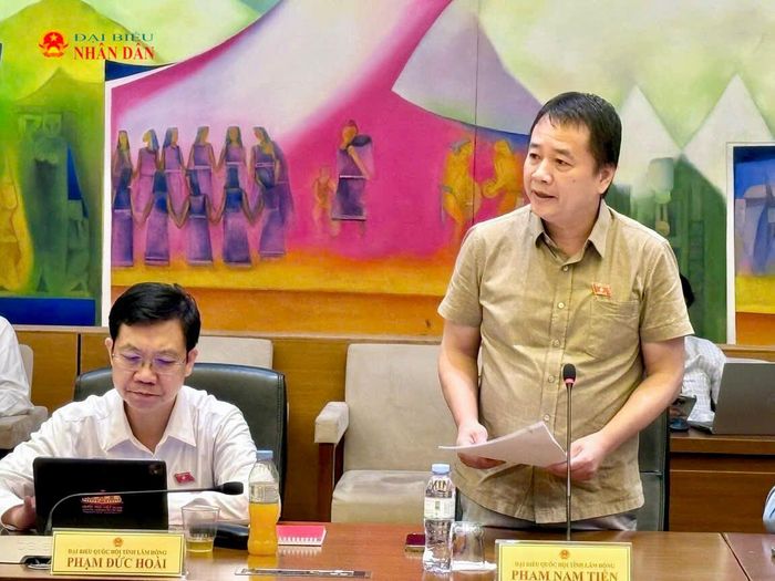 ĐBQH Phạm Nam Tiến (Lâm Đồng) phát biểu