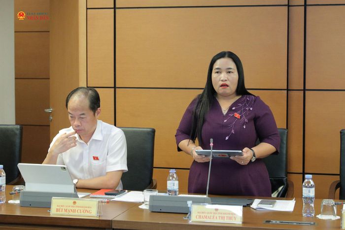 ĐBQH Chamaleá Thị Thủy (Khánh Hòa). Ảnh: Hồ Long
