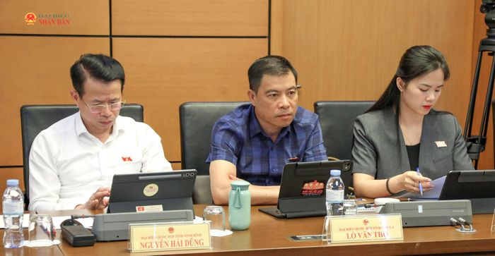 Các đại biểu tham gia phiên thảo luận tổ