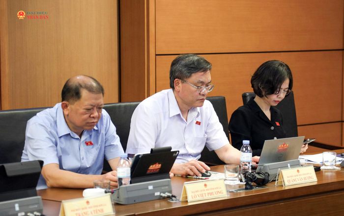 Các đại biểu tham dự phiên thảo luận tổ