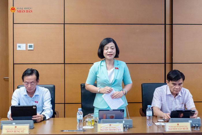 ĐBQH Nguyễn Thanh Cầm (Đồng Tháp) phát biểu. Ảnh: Mạnh Hưng
